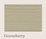 Outdoor-Gooseberry